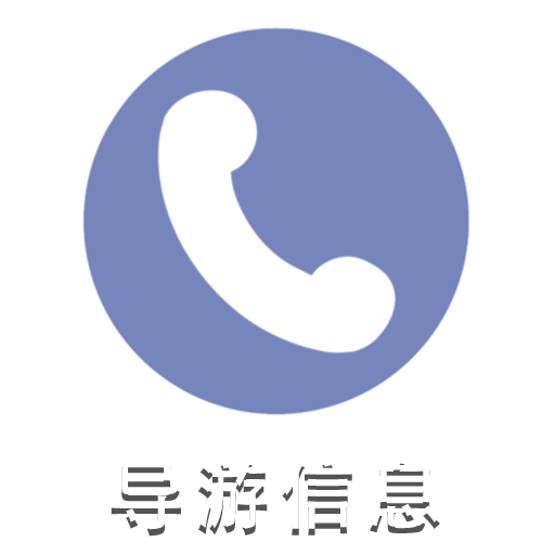 导游信息